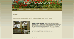 Desktop Screenshot of parkcityendodontics.com